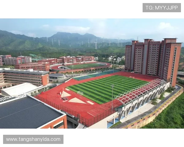 深圳排球队选拔赛特别报道：从传统到现代的全面转型之路